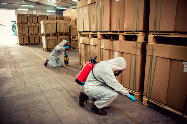 Best Best Pest Control Companies  in San Francisco, CA