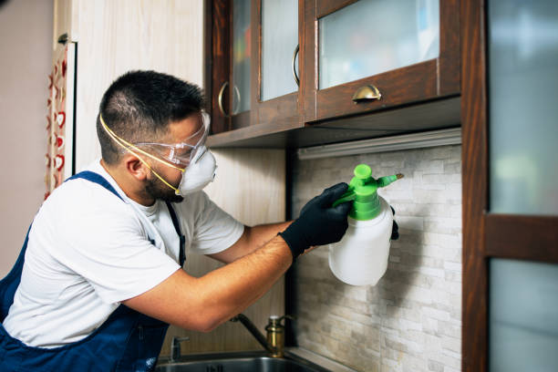 Trusted San Francisco, CA Pest Control Experts
