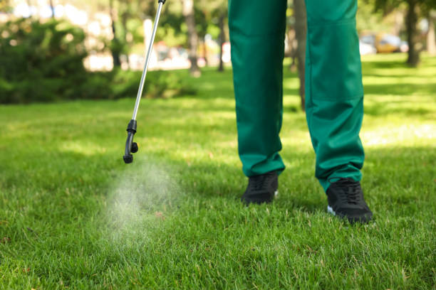 Pest Prevention Services in San Francisco, CA